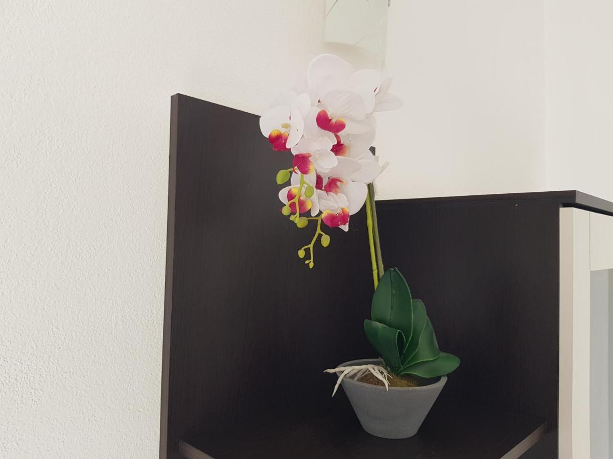 Apartman Mia With Pool1 Сплит Екстериор снимка